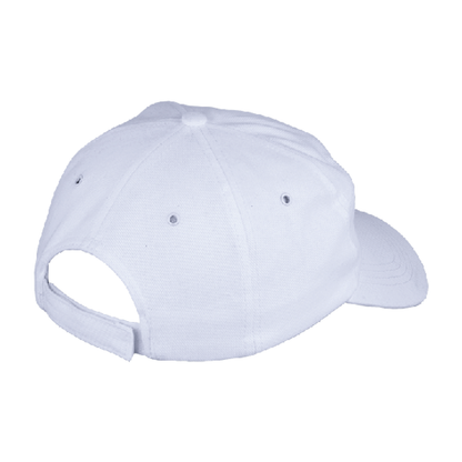 6 Panel Carbon Cap