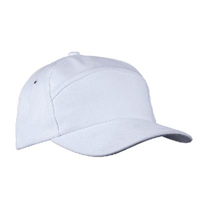 6 Panel Carbon Cap