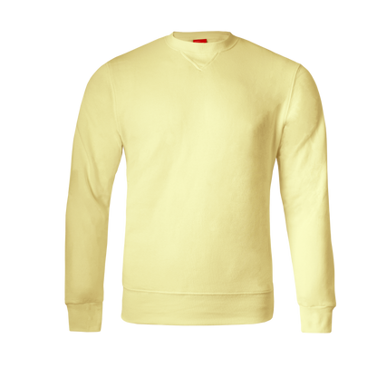 Basic Crew Neck Sweater